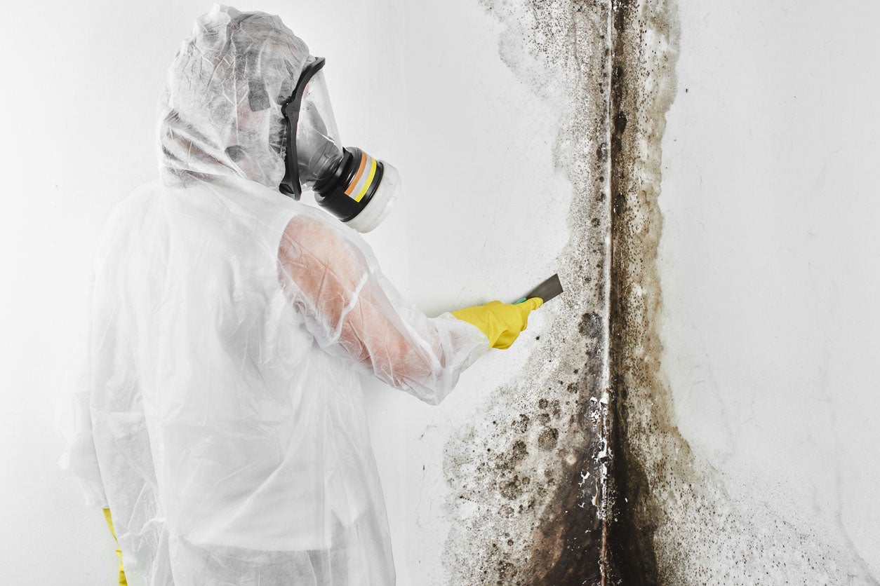 Mold Remediation background