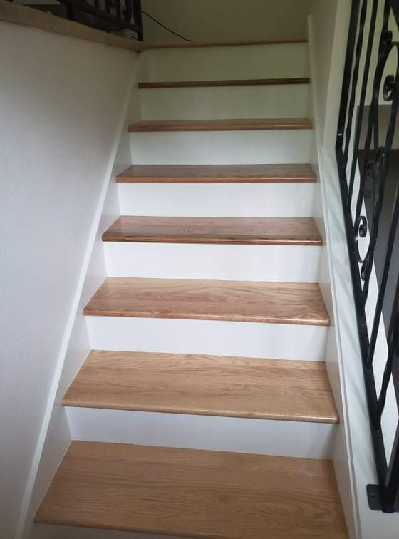 gallery-21