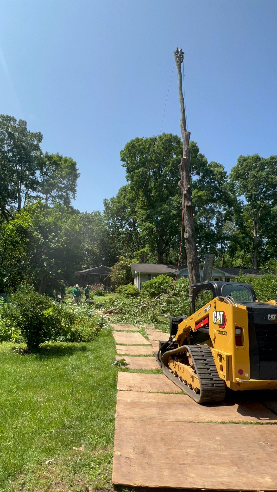 Branch Out with Excellence.