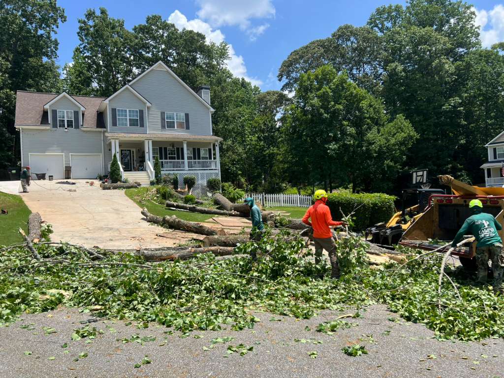 Campo Tree Service LLC