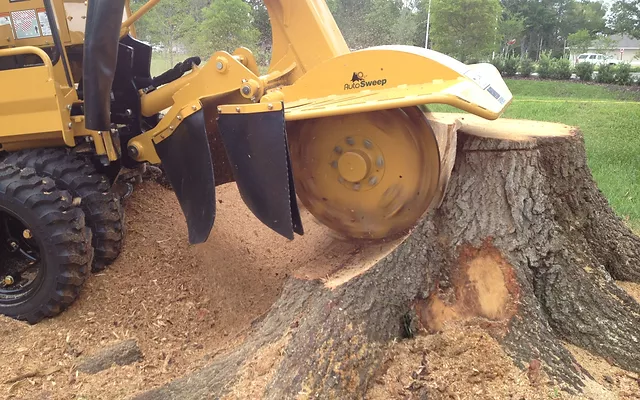 Stump Grinding background