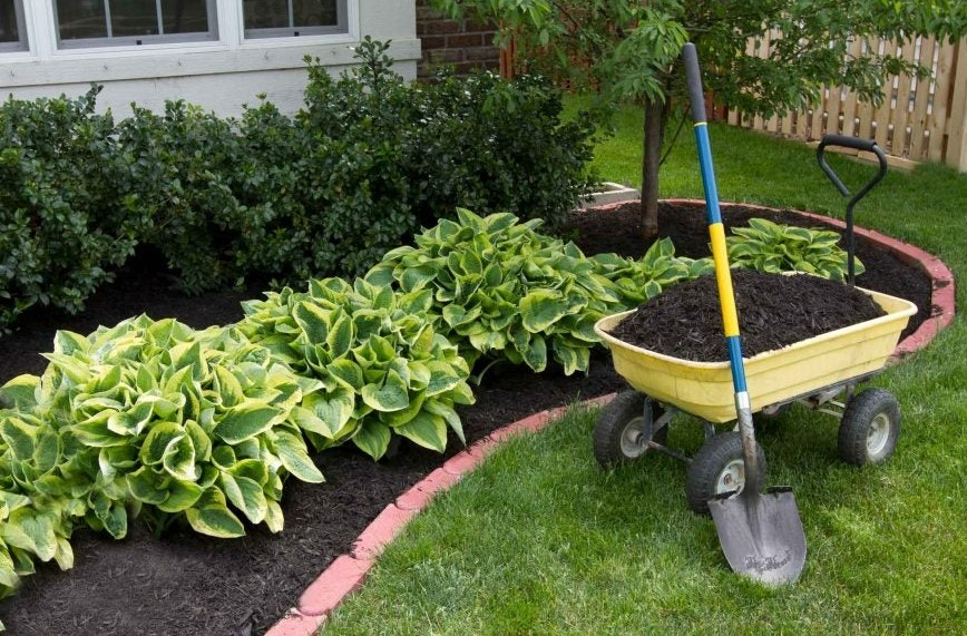 Mulching Services