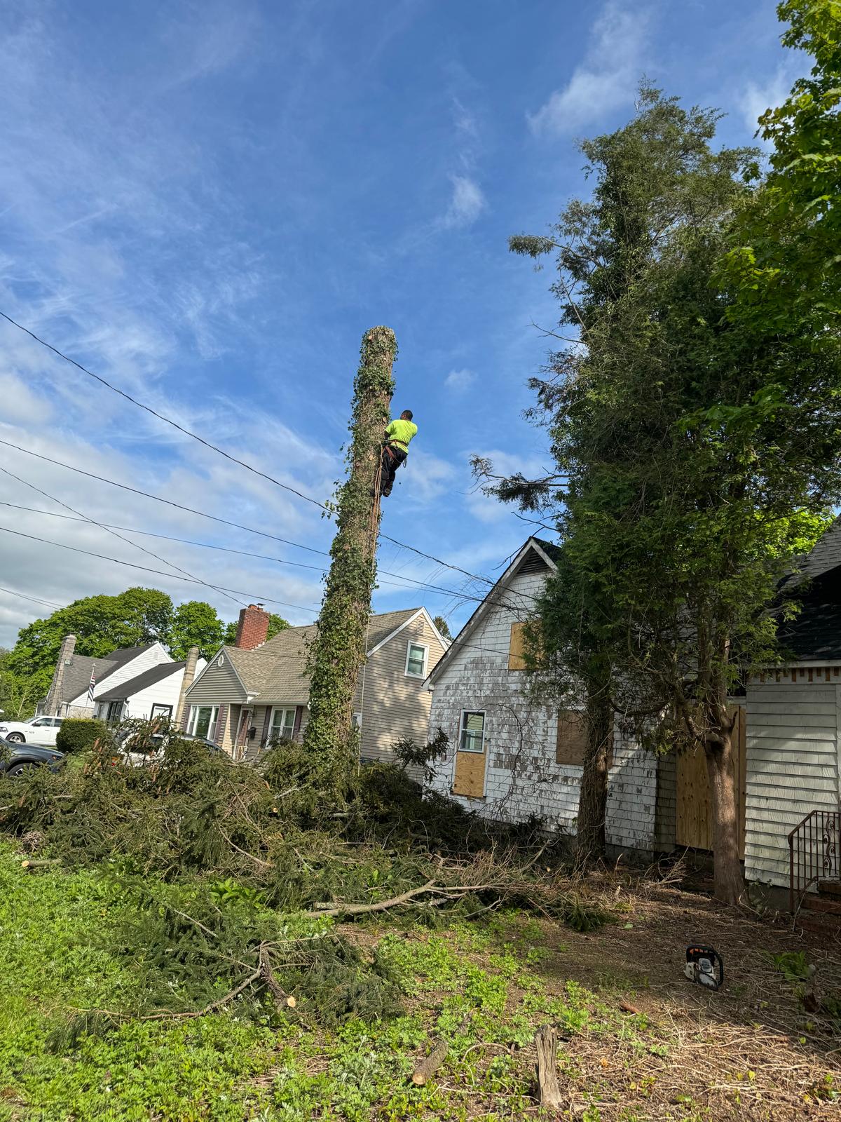 Where quality meets precision.