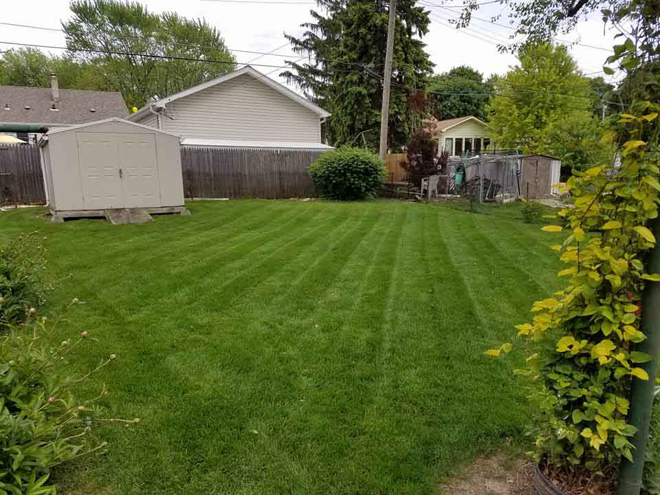 Landscape Maintenance And Installation