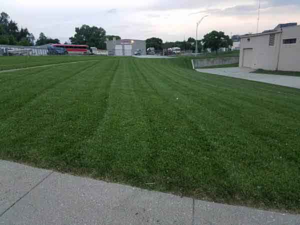 Lawn Care background