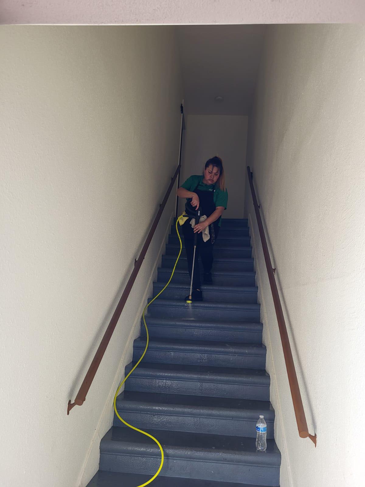 cleaner1