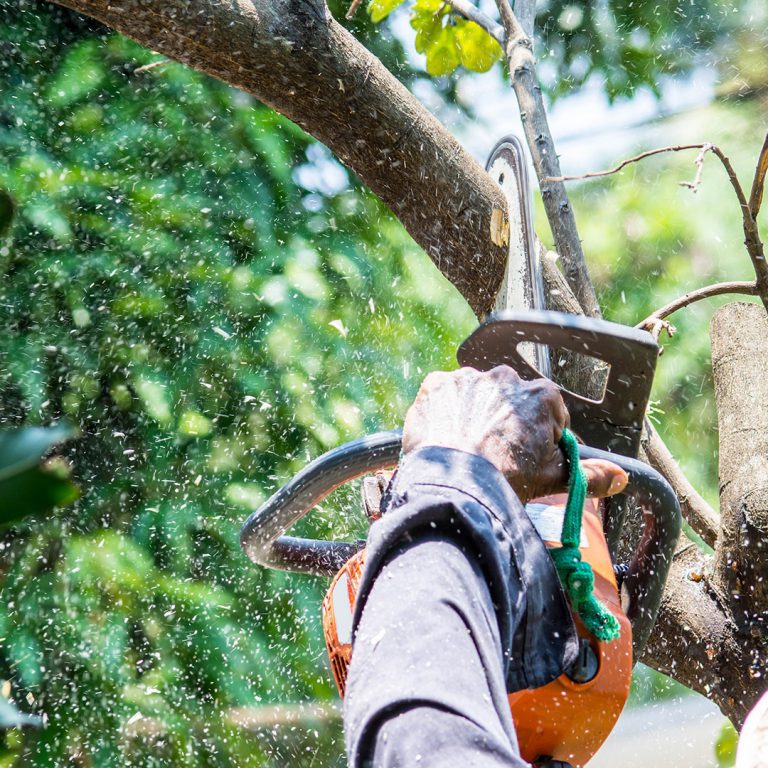Trimming