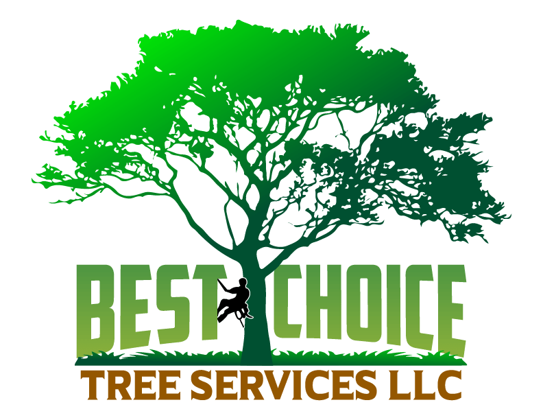 Best Choice Tree Services LLC
