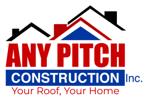 logo Any Pitch Construction Inc
