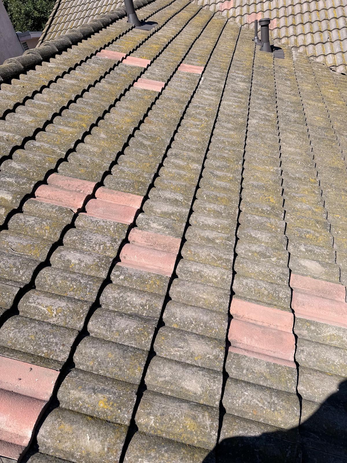 Rango Roofing Company