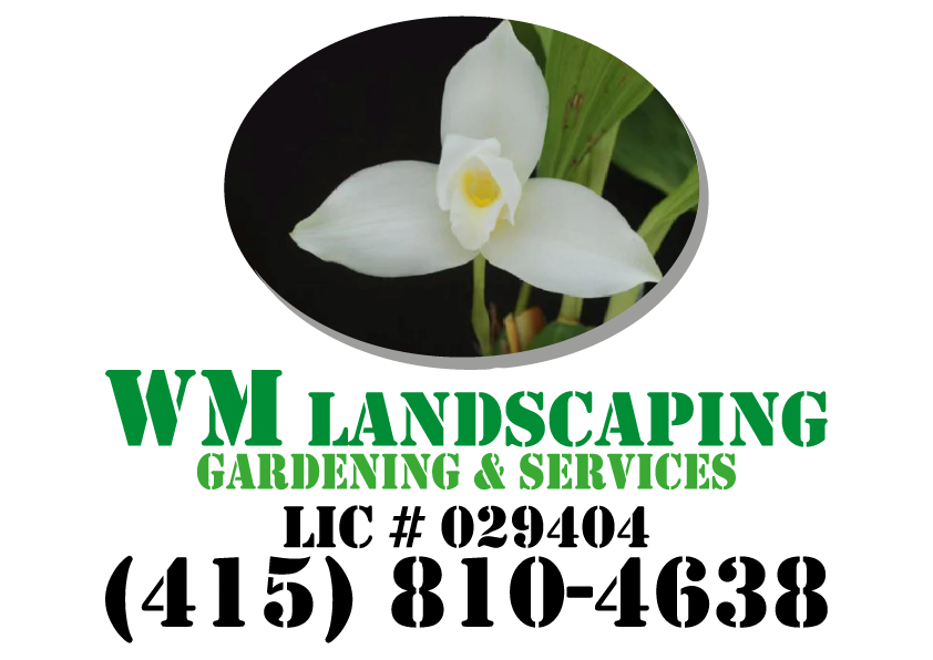 logo WM Landscaping Gardening & Services