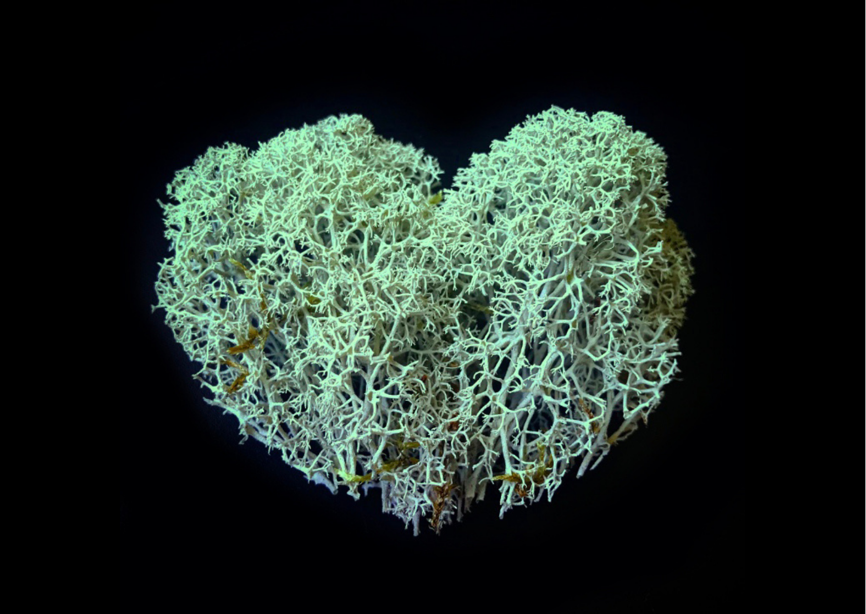 Loveform