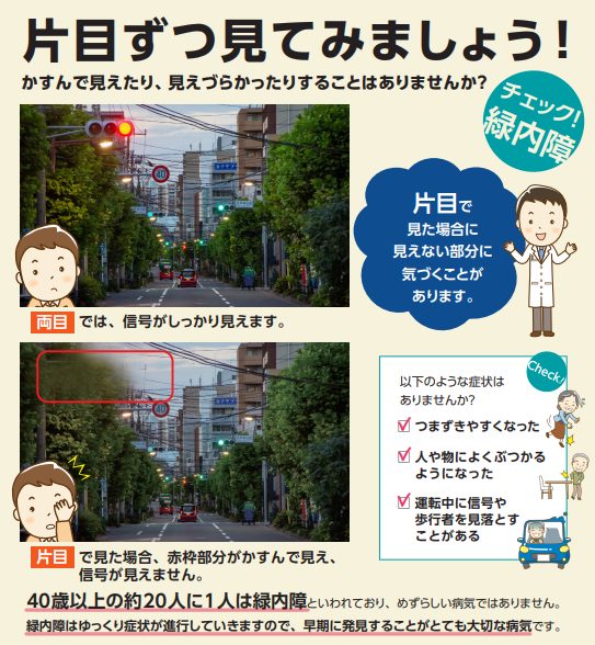 片眼ずつ見え方を確認する意味を説明した参考図