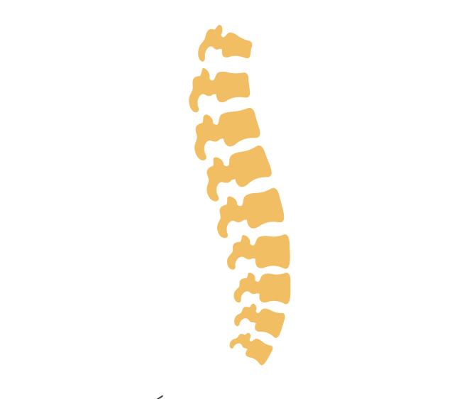 Clínica de resultados logo