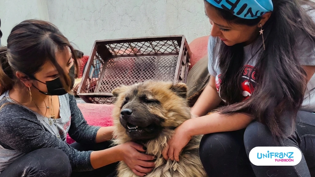 Voluntariado Fundación Unifranz