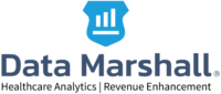 Data Marshall logo
