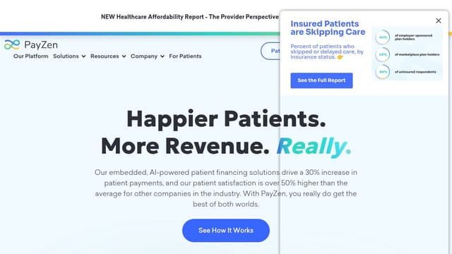 PayZen homepage