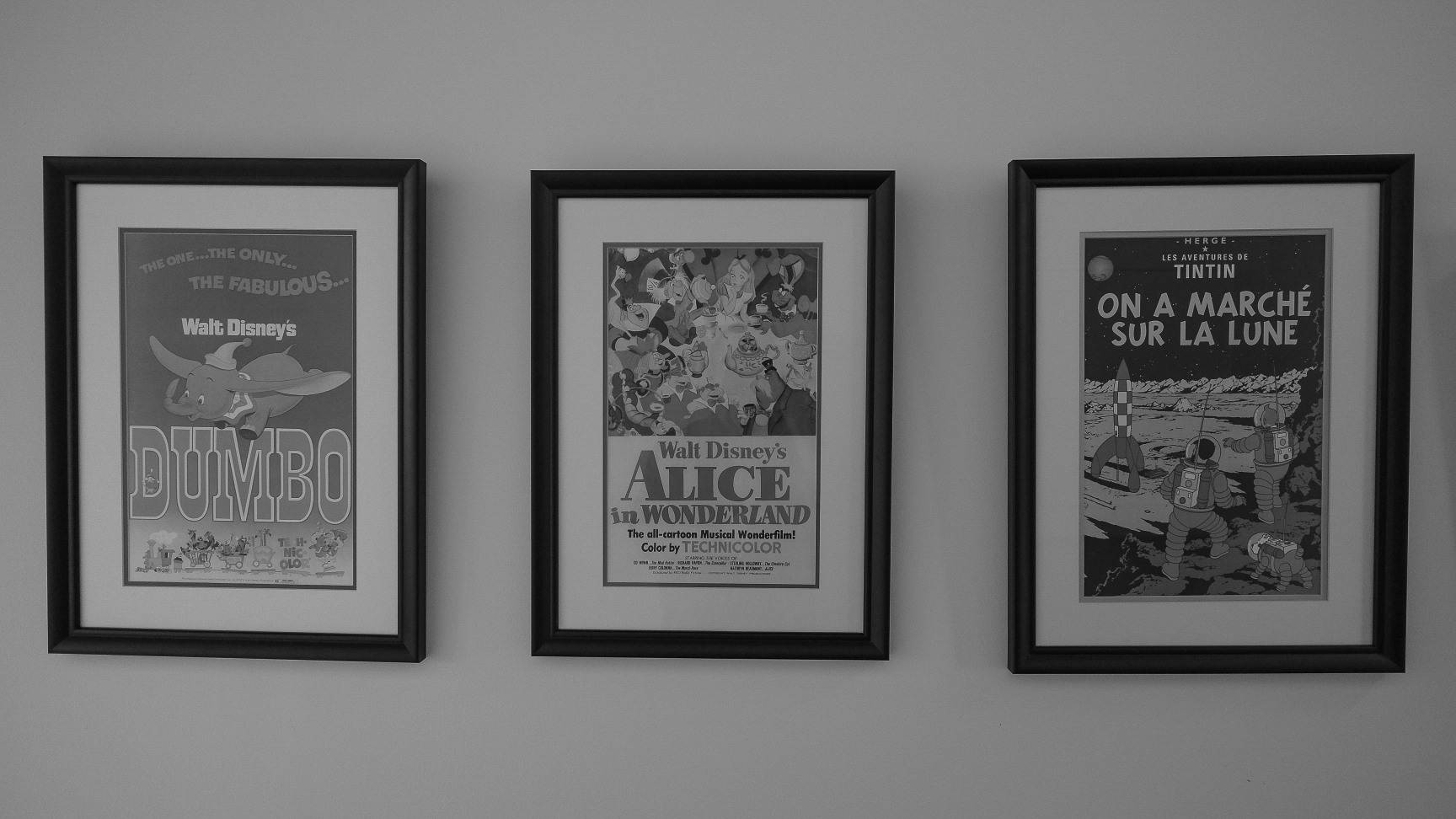 Showcase Image 4