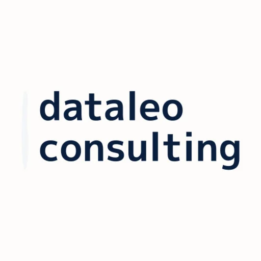 DataLeo Consulting