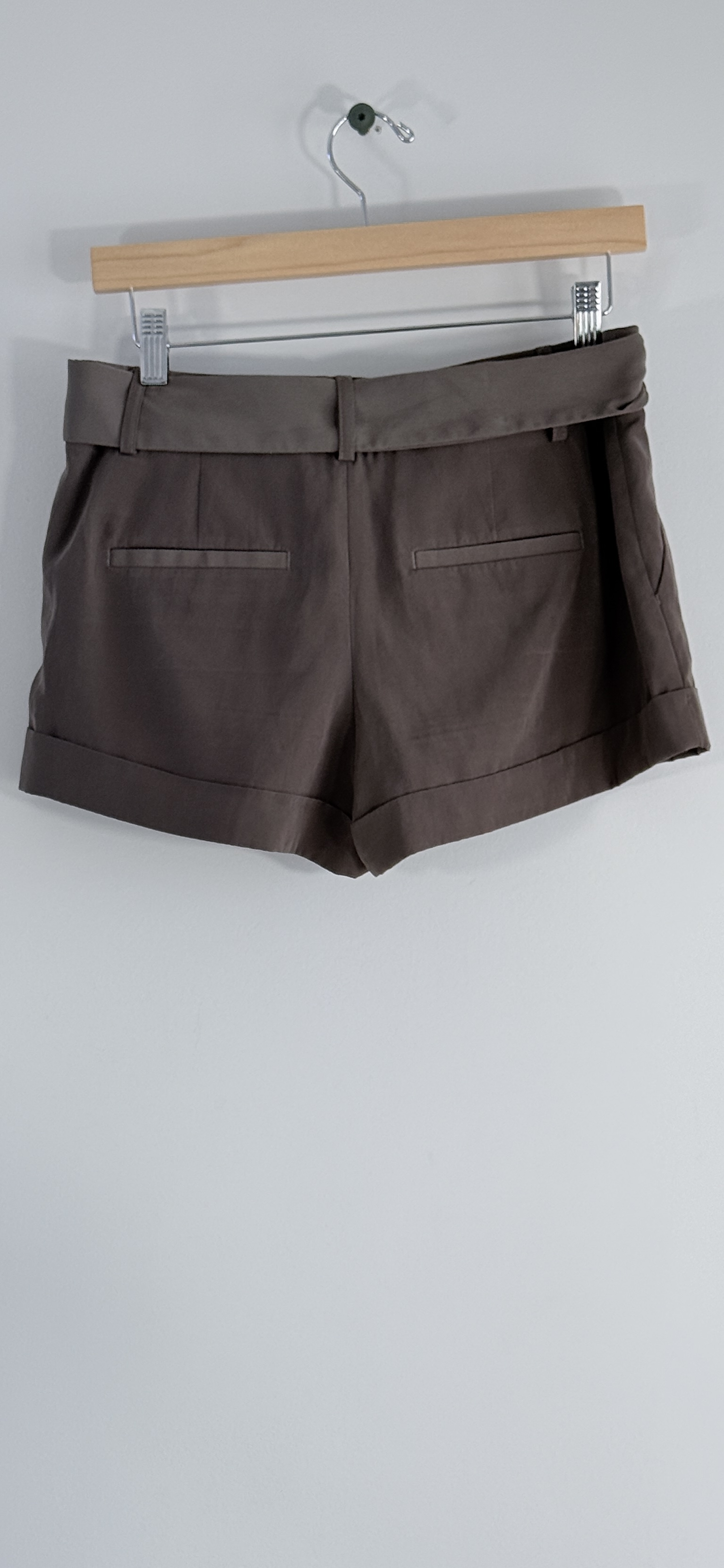 Express Dressy Trouser Shorts thumbnail 3