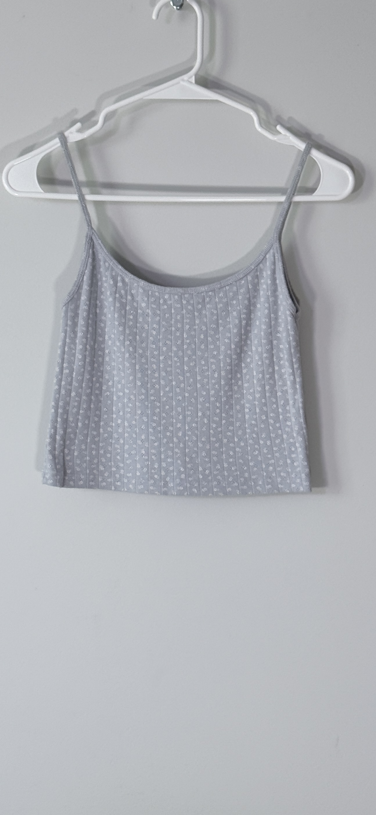 Brandy Melville Skylar Cropped Tank Top thumbnail 2