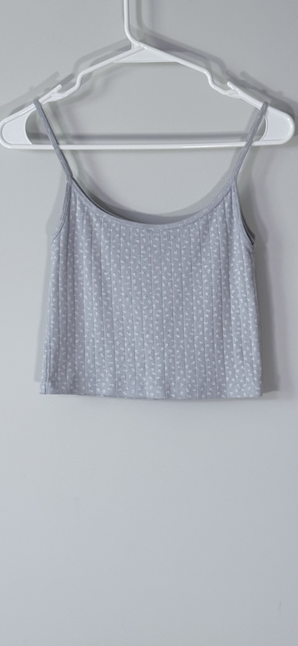 Brandy Melville Skylar Cropped Tank Top thumbnail 3