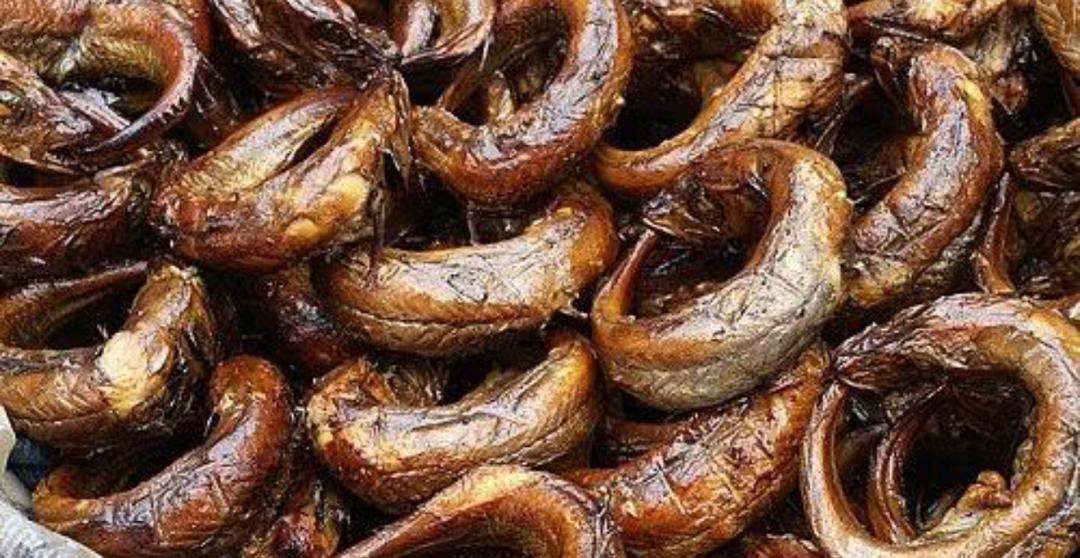 Dry Panla Fish big size 3pieces