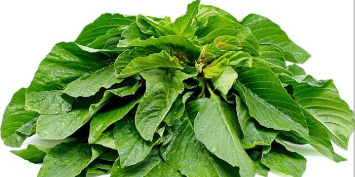 Efo  Green per bunch 