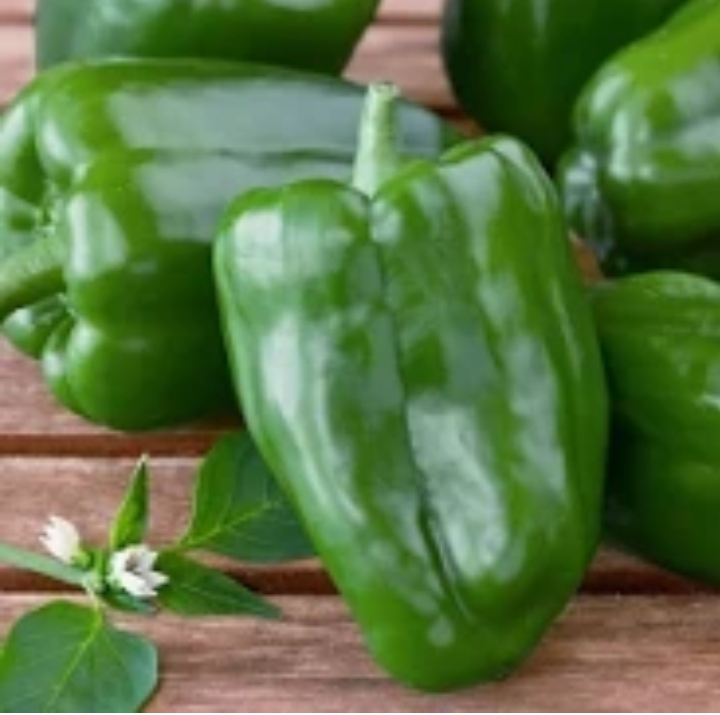 Green bell pepper 