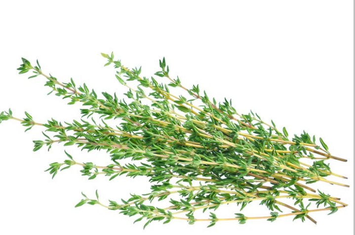Thyme leaf 