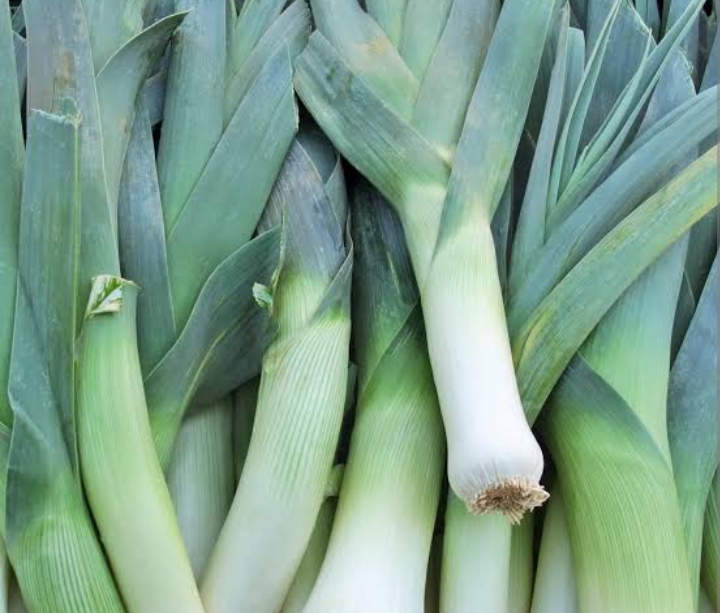 Leak onion 