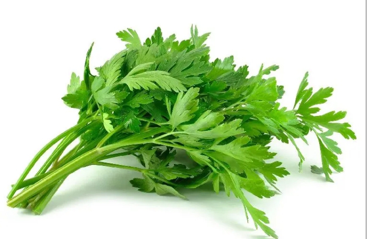Celery 