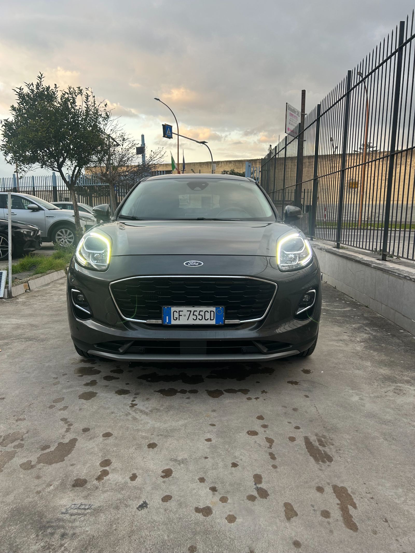 ford PUMA