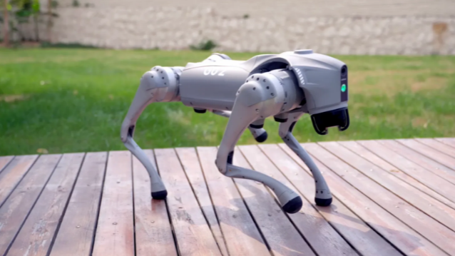 Robot Dog Python