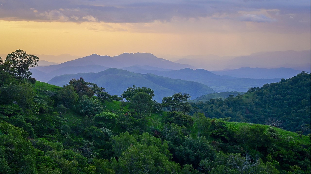 Gashaka-Gumti National Park Forest Carbon Project