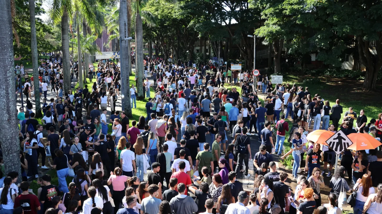 Calouro da UFU: o guia completo para sobreviver e aproveitar a universidade