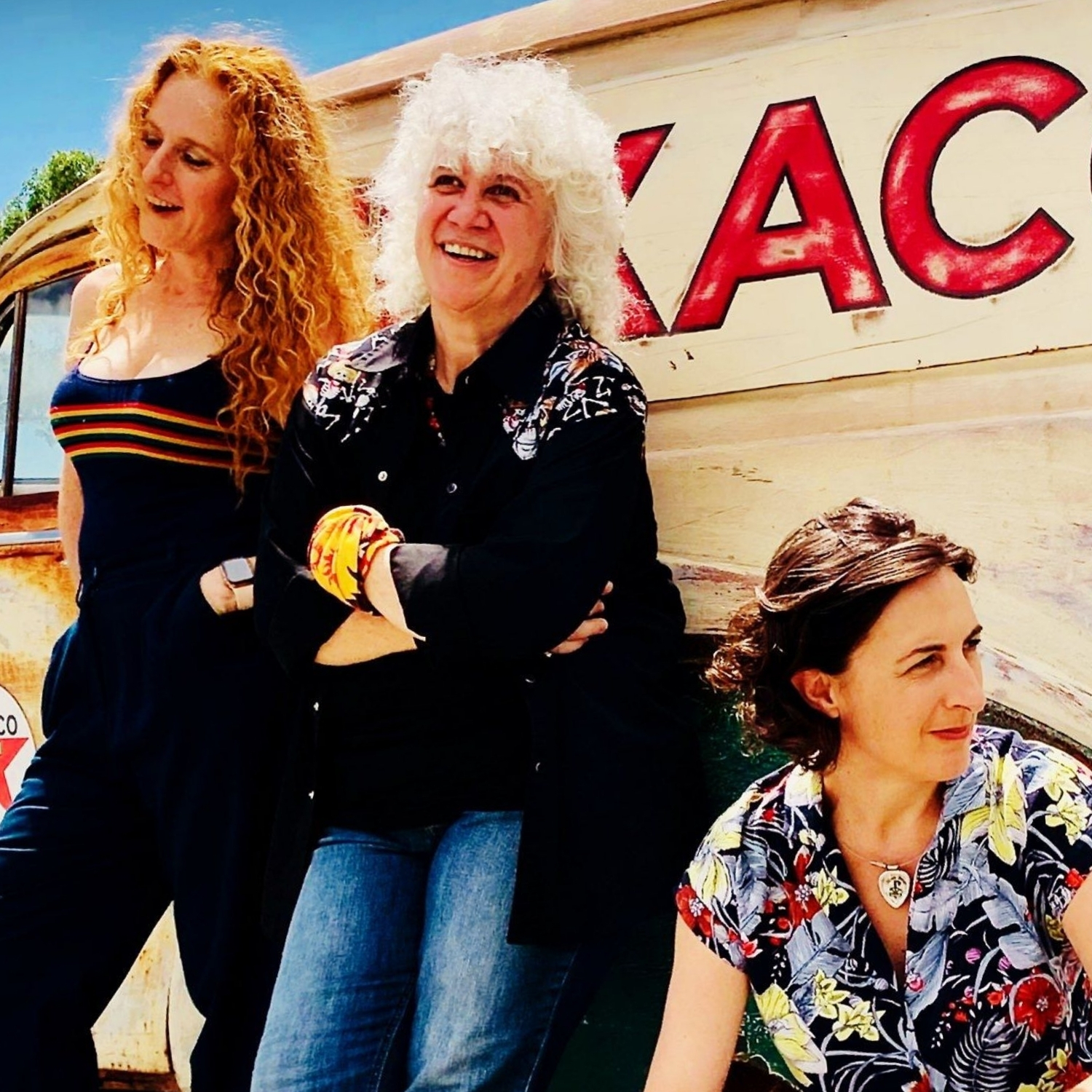 Vix and the Slick Chix