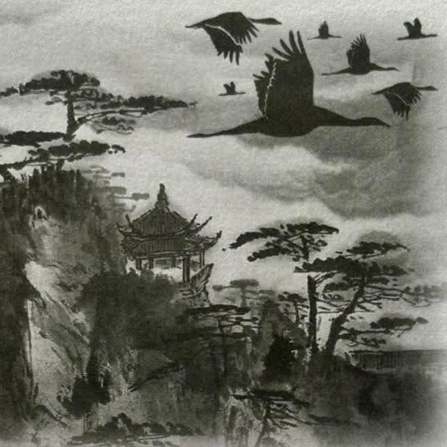 Sunshine Coast Wild Goose Qigong