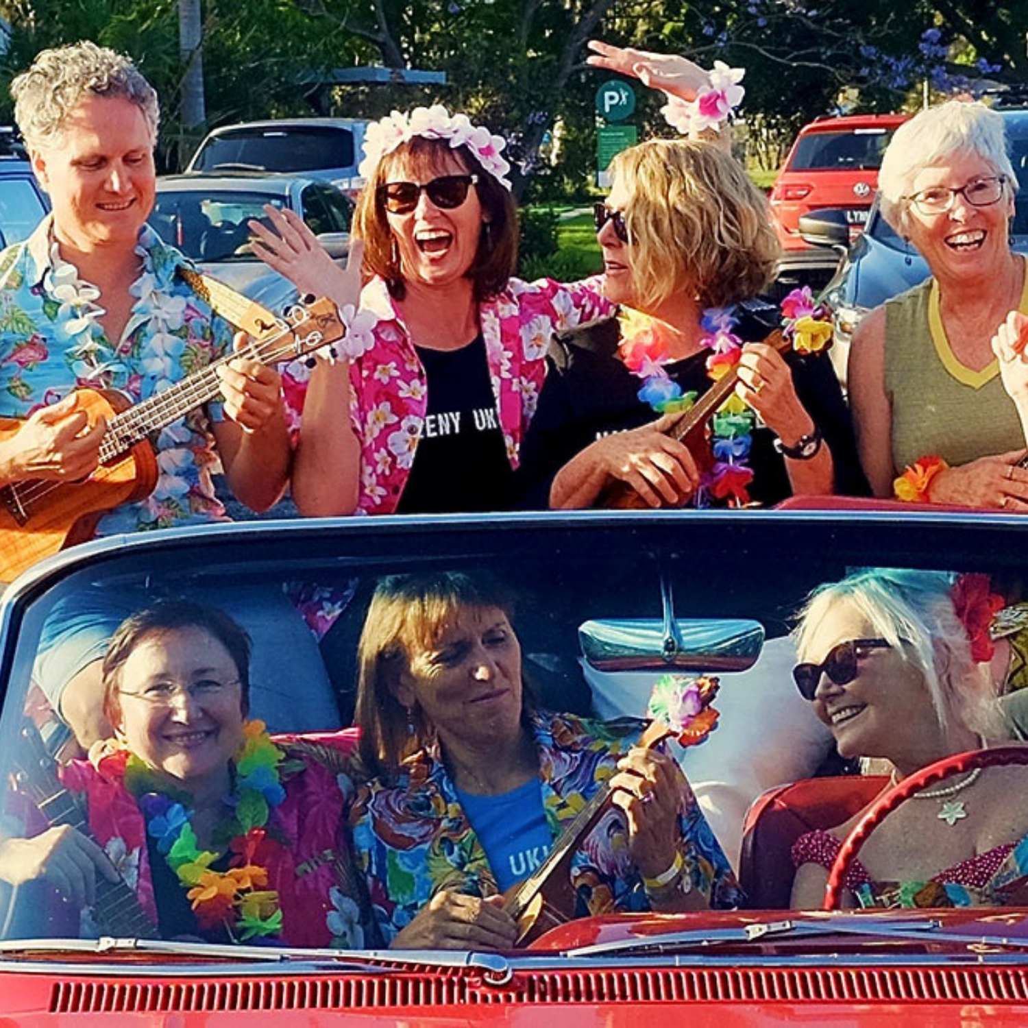 Maleny Ukulele