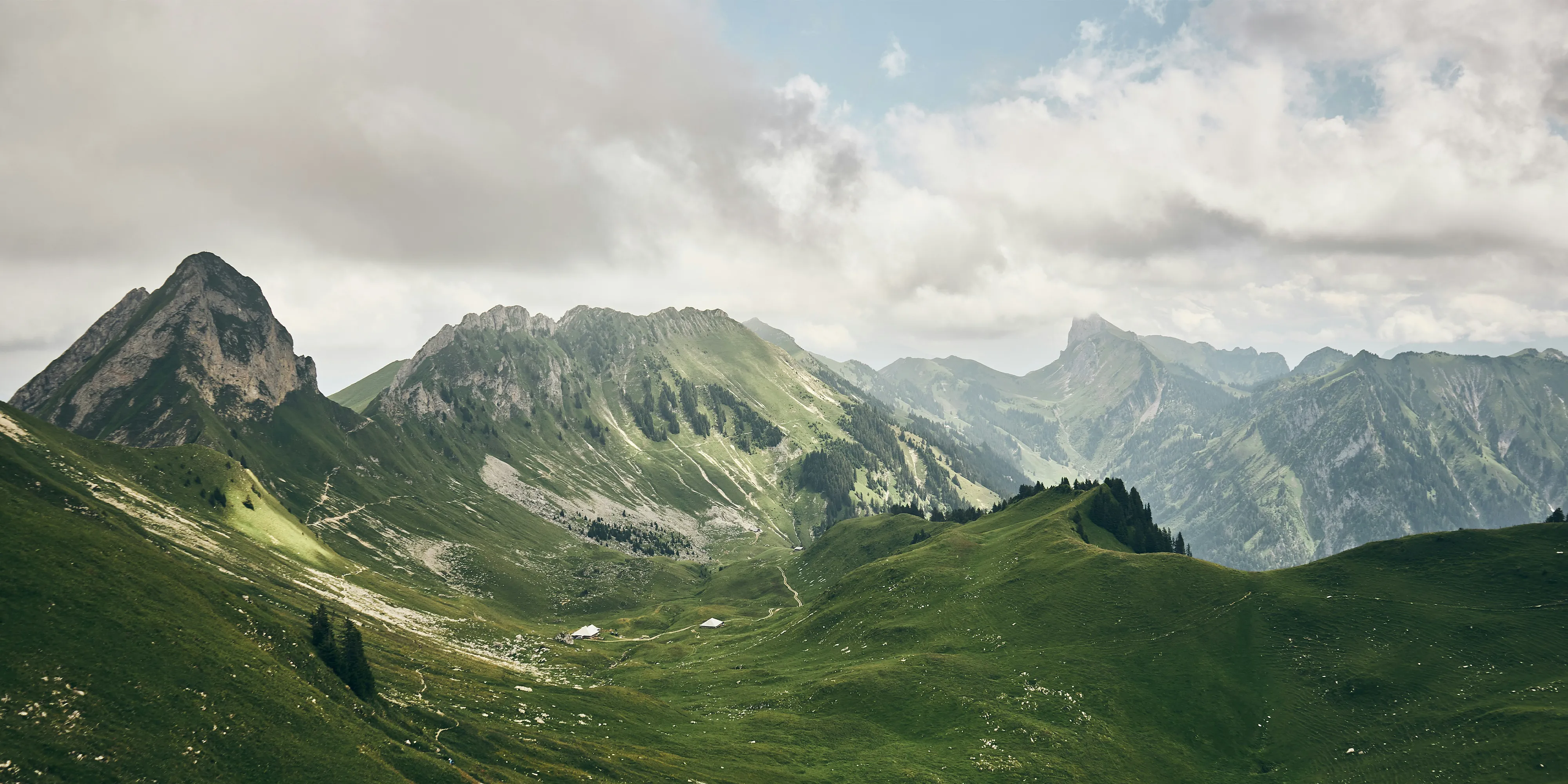 Image de couverture de Mopingo