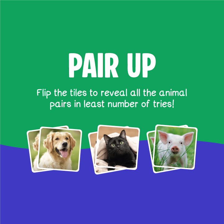Pair Up - Memory Puzzle Game