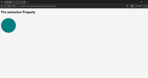 CSS Animation