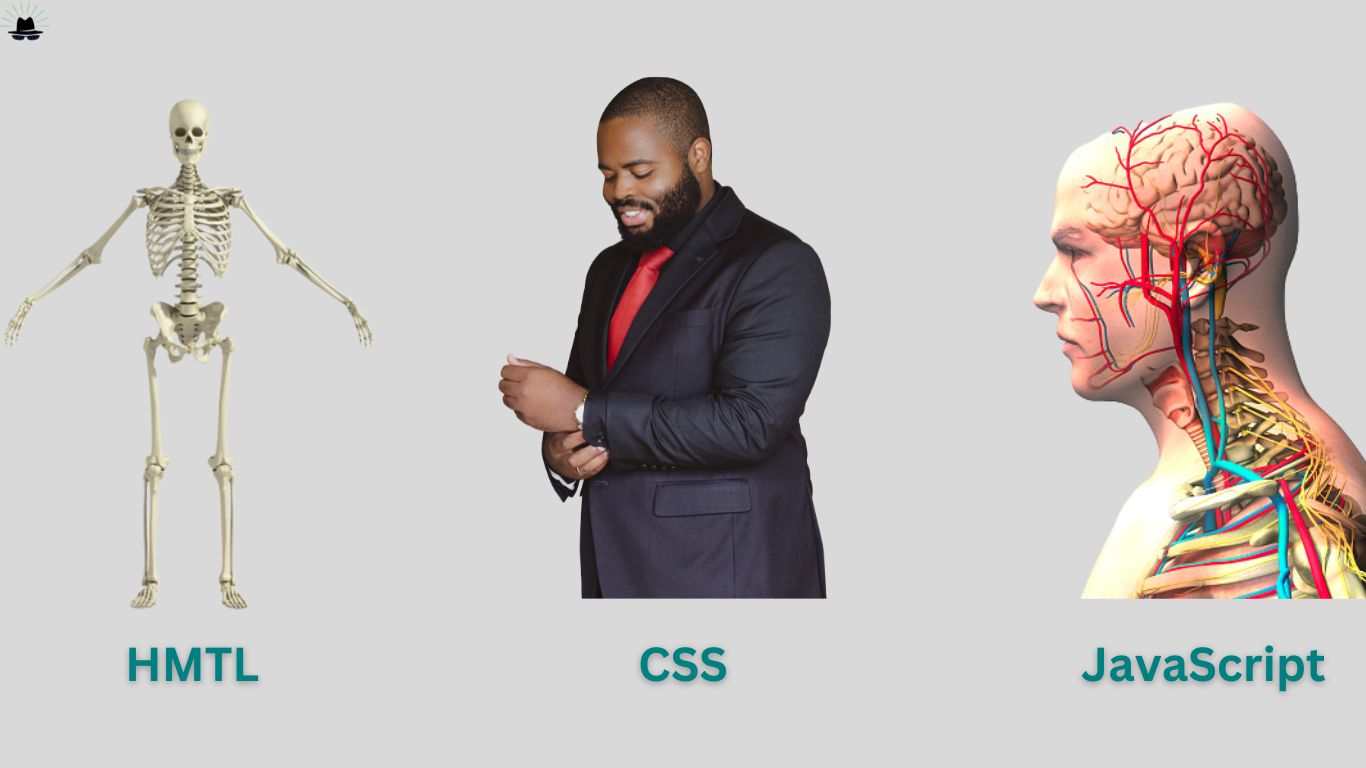 How to start a Web development