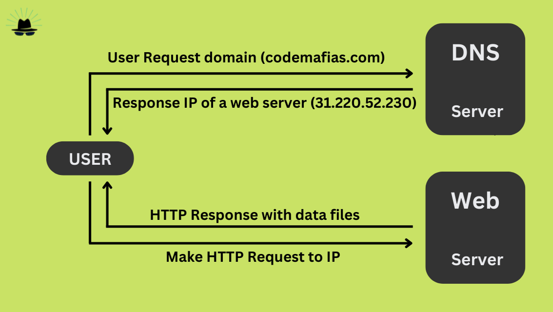 What is the Website and How does it works?