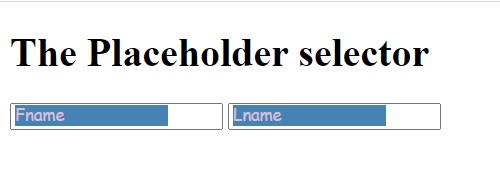 CSS Placeholder Selector