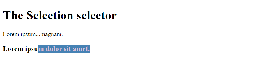 CSS selection selector property