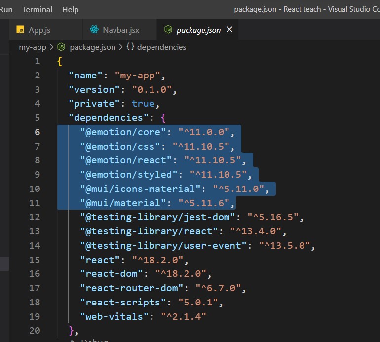 Package Json file
