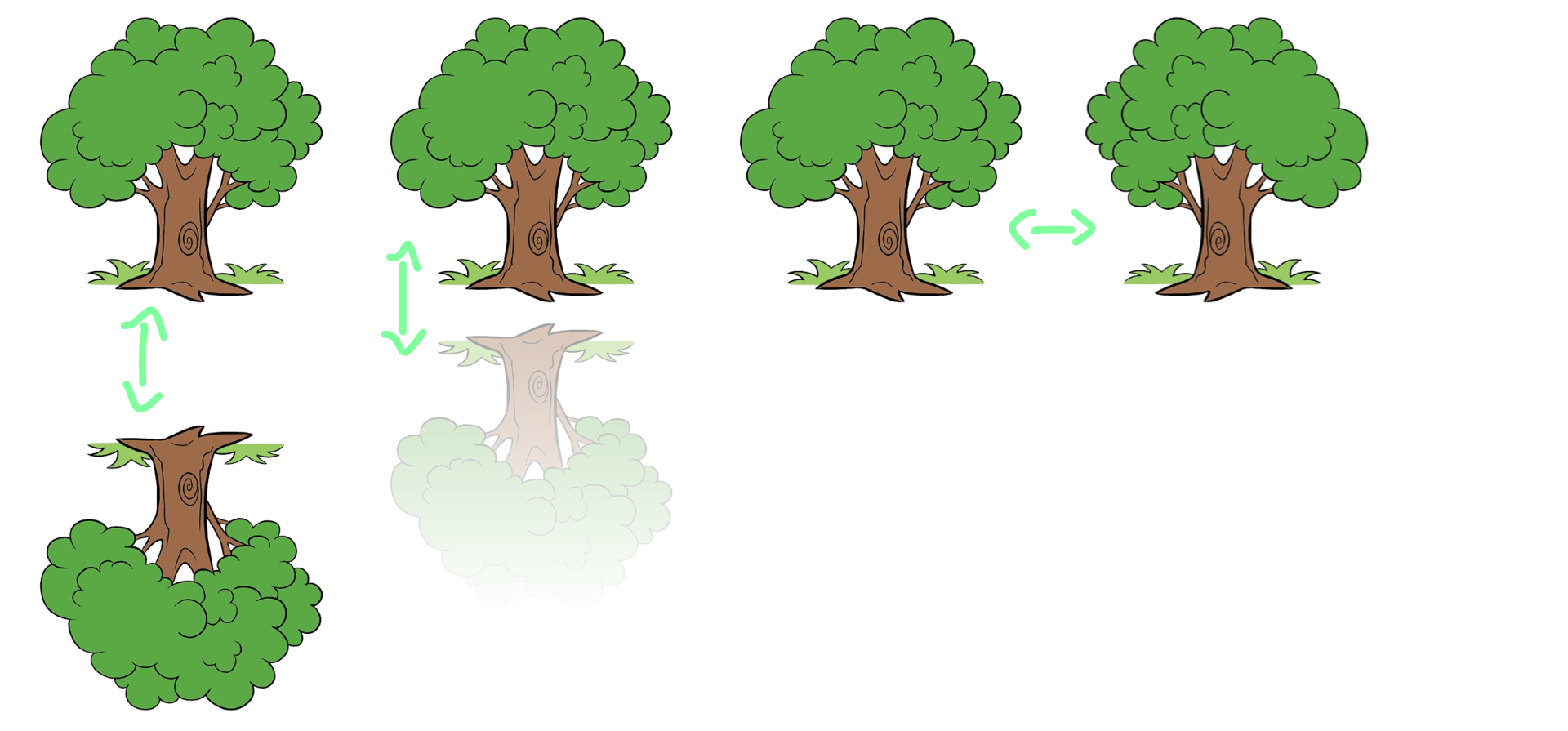 CSS box reflect property
