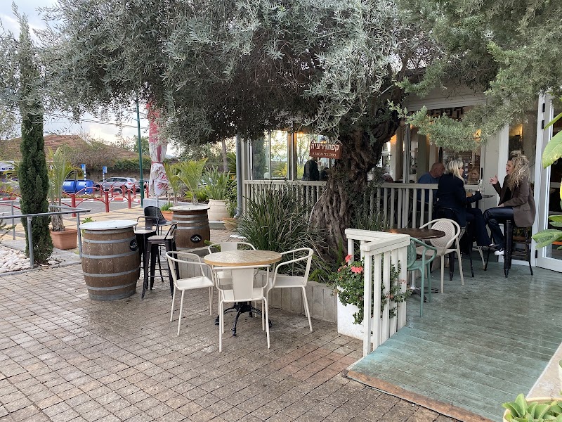 קפהדרציה - בכפר תבור