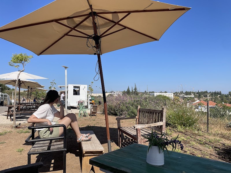שלוש בקפה, עגלת קפה בלפיד